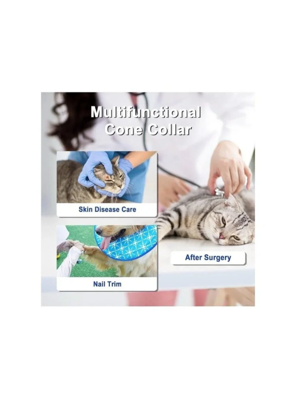 Small Dog or Cat Soft Cone Collar